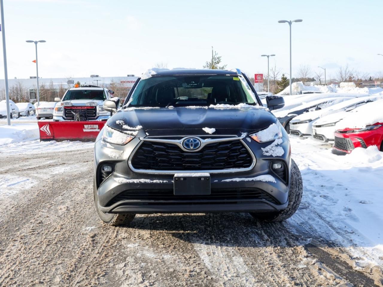 2023 Toyota Highlander Hybrid Limited  - Leather Seats - $378 B/W Photo