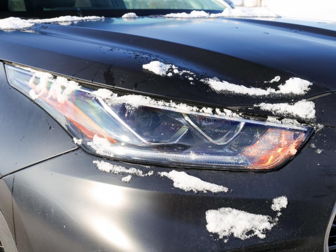 2023 Toyota Highlander Hybrid Limited  - Leather Seats - $378 B/W Photo