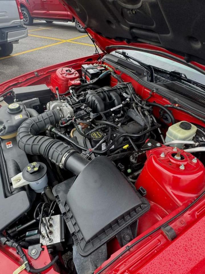 2006 Ford Mustang 2dr Conv Photo