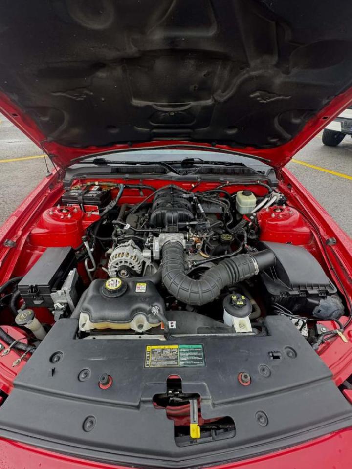 2006 Ford Mustang 2dr Conv Photo