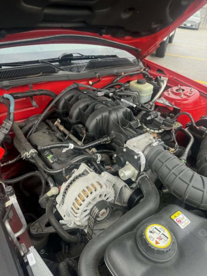 2006 Ford Mustang 2dr Conv Photo