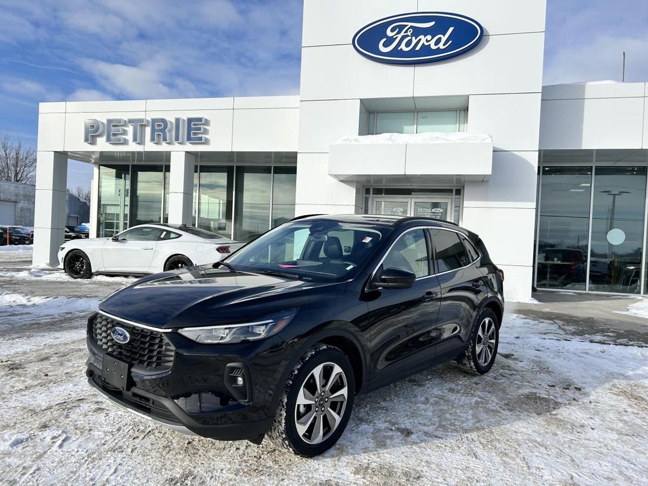2025 Ford Escape Platinum Photo