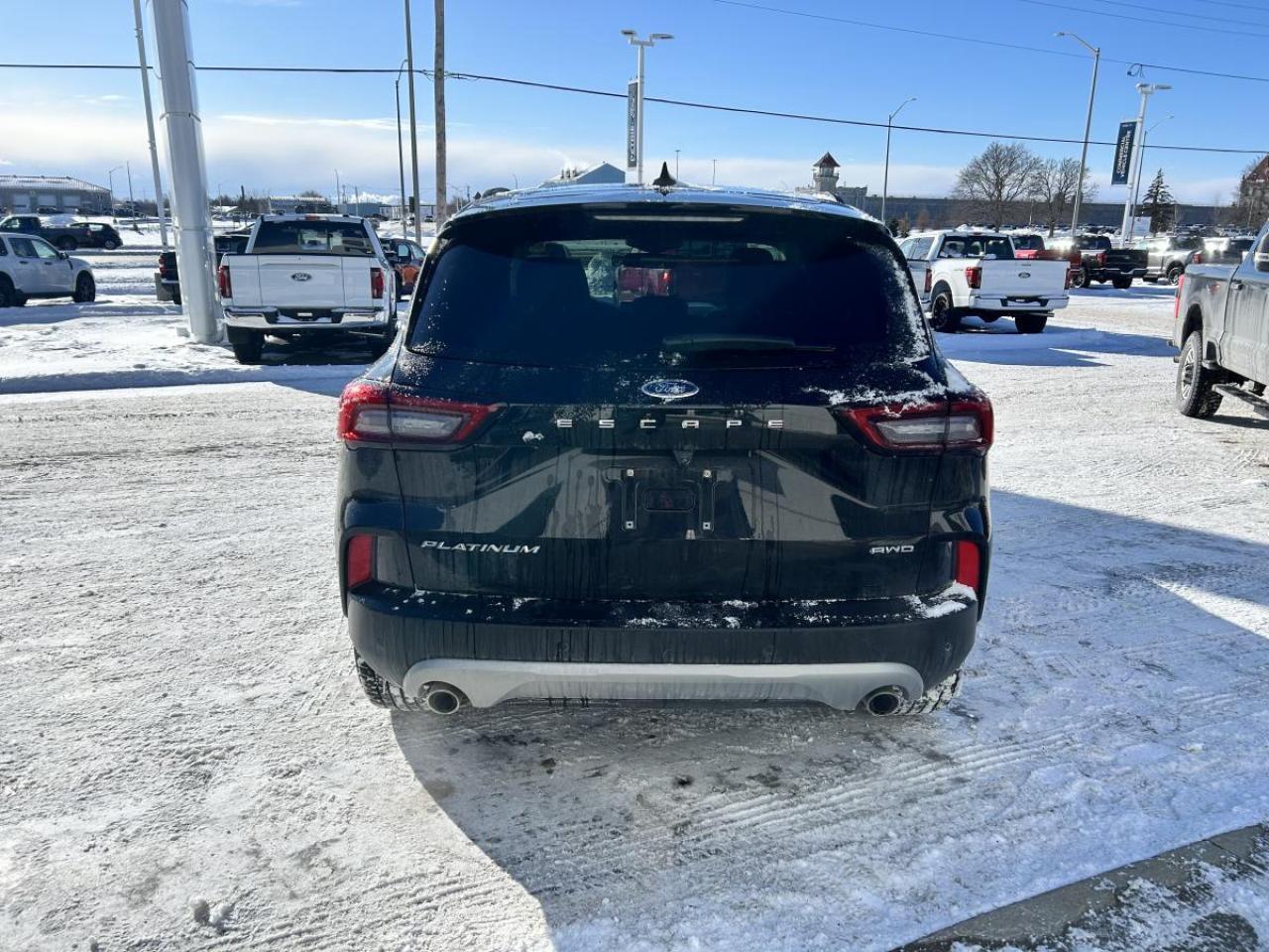 2025 Ford Escape Platinum Photo