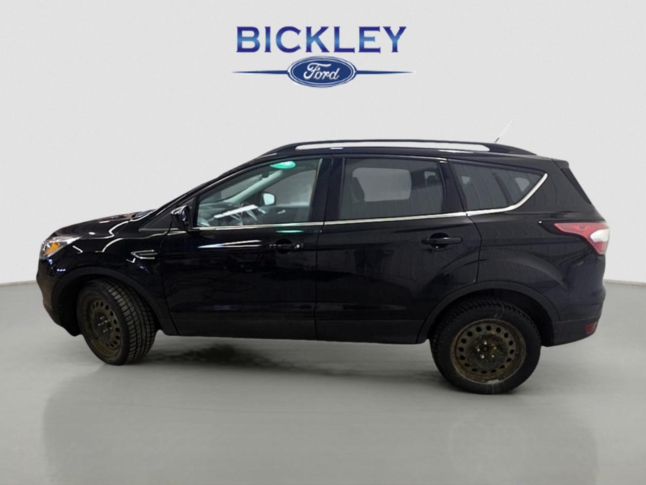 2018 Ford Escape SEL Photo