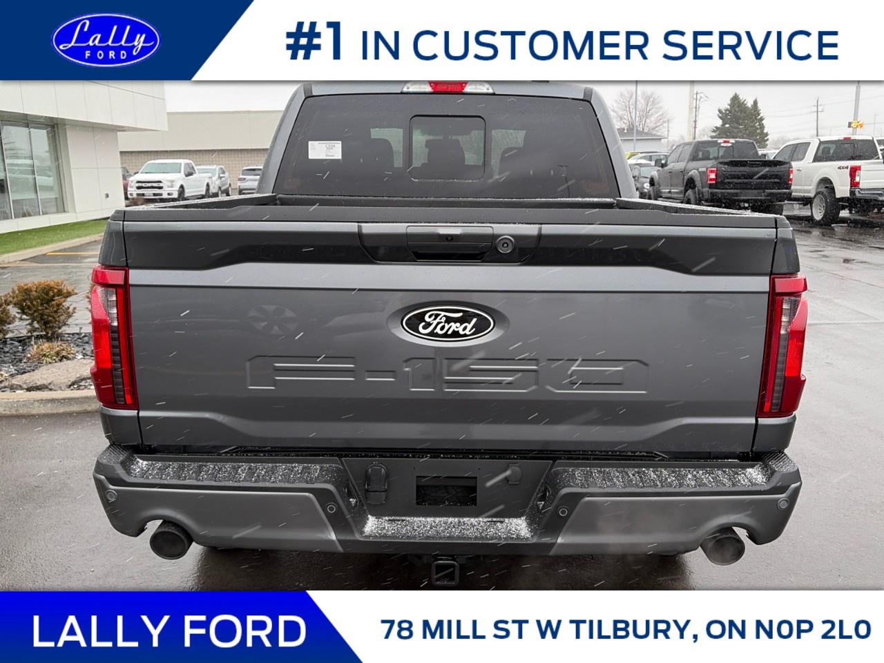 2026 Ford F-150 XLT 4WD SuperCrew 5.5' Box Photo