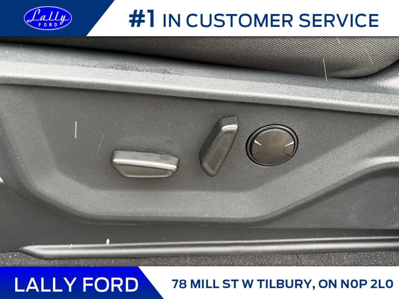 2026 Ford F-150 XLT 4WD SuperCrew 5.5' Box Photo