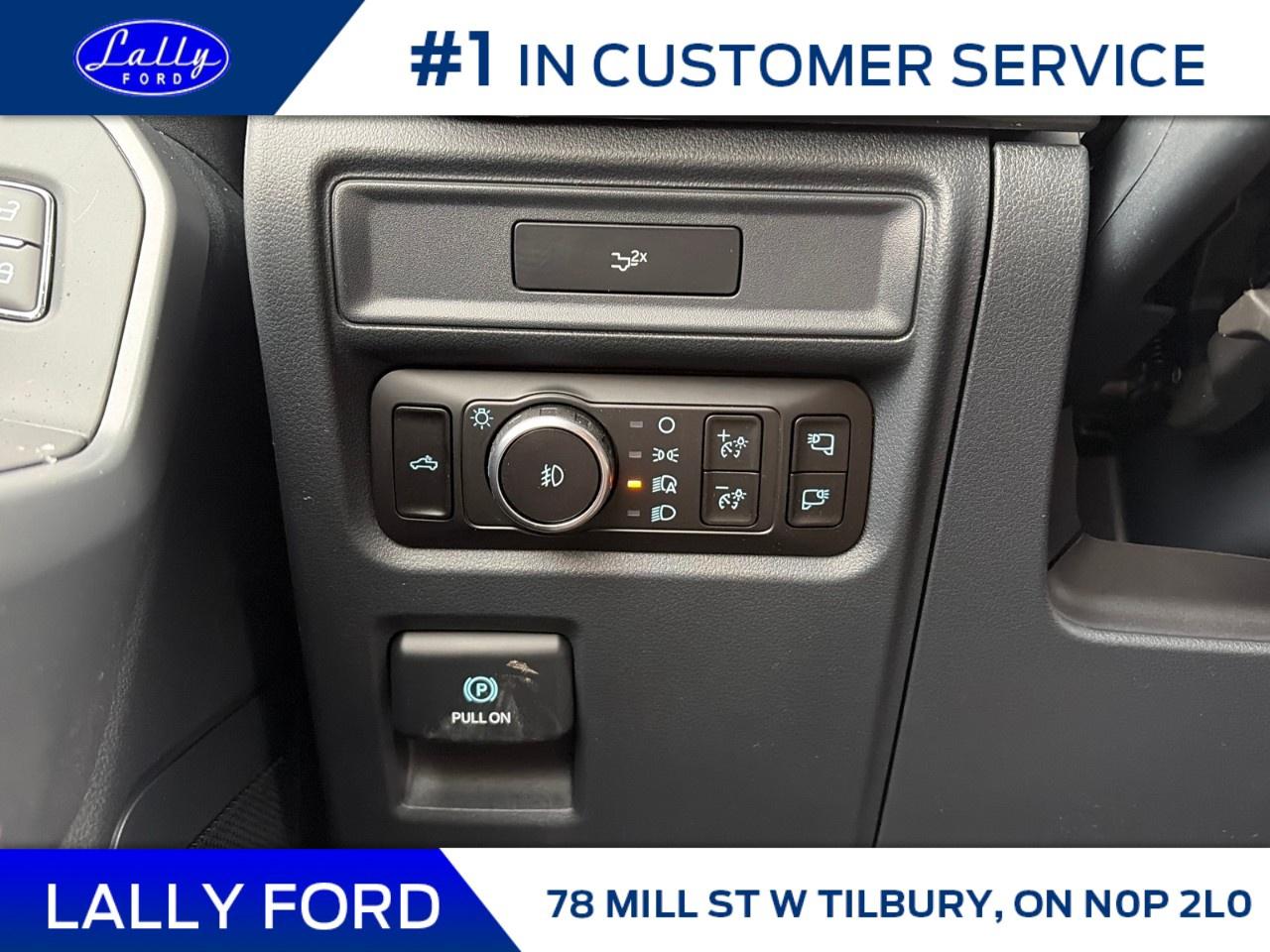 2026 Ford F-150 XLT 4WD SuperCrew 5.5' Box Photo