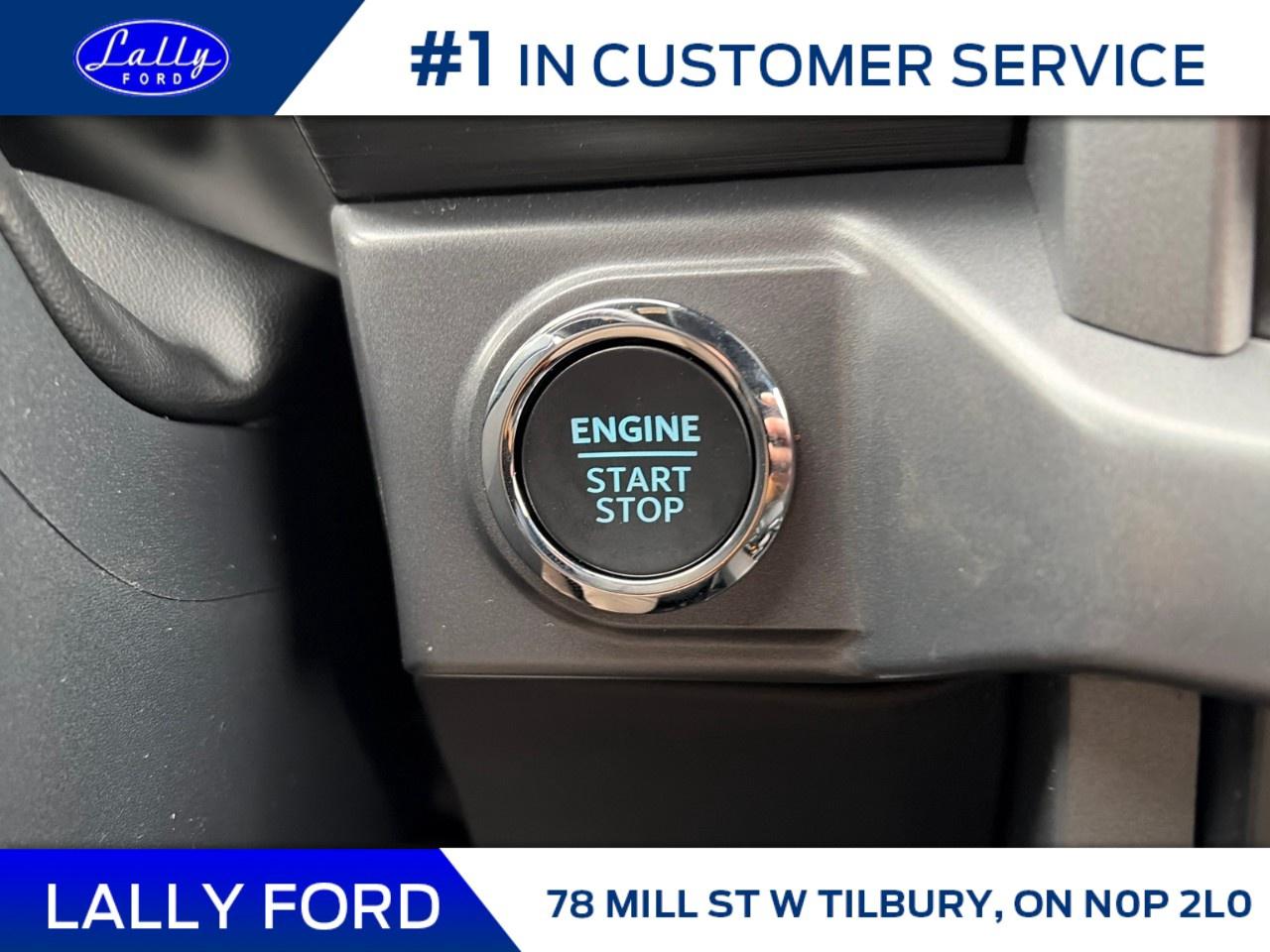 2026 Ford F-150 XLT 4WD SuperCrew 5.5' Box Photo