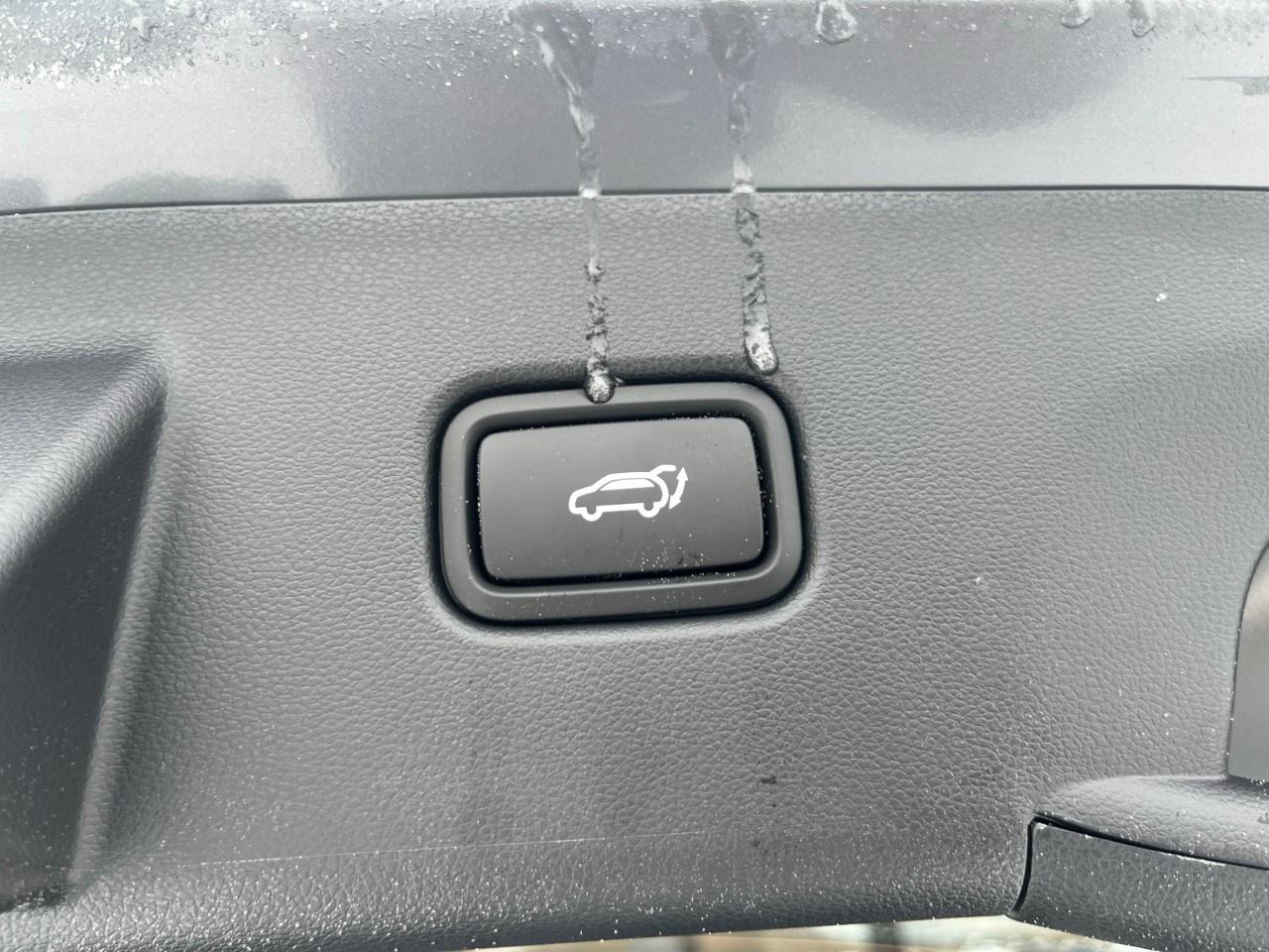 2026 Hyundai Tucson Hybrid N-Line AWD Photo