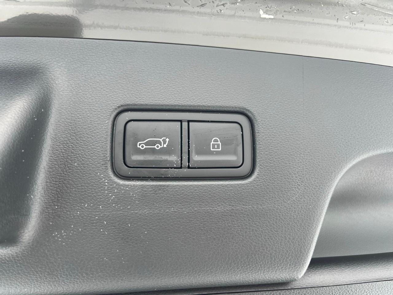 2026 Hyundai PALISADE Hybrid Ultimate Calligraphy AWD Photo