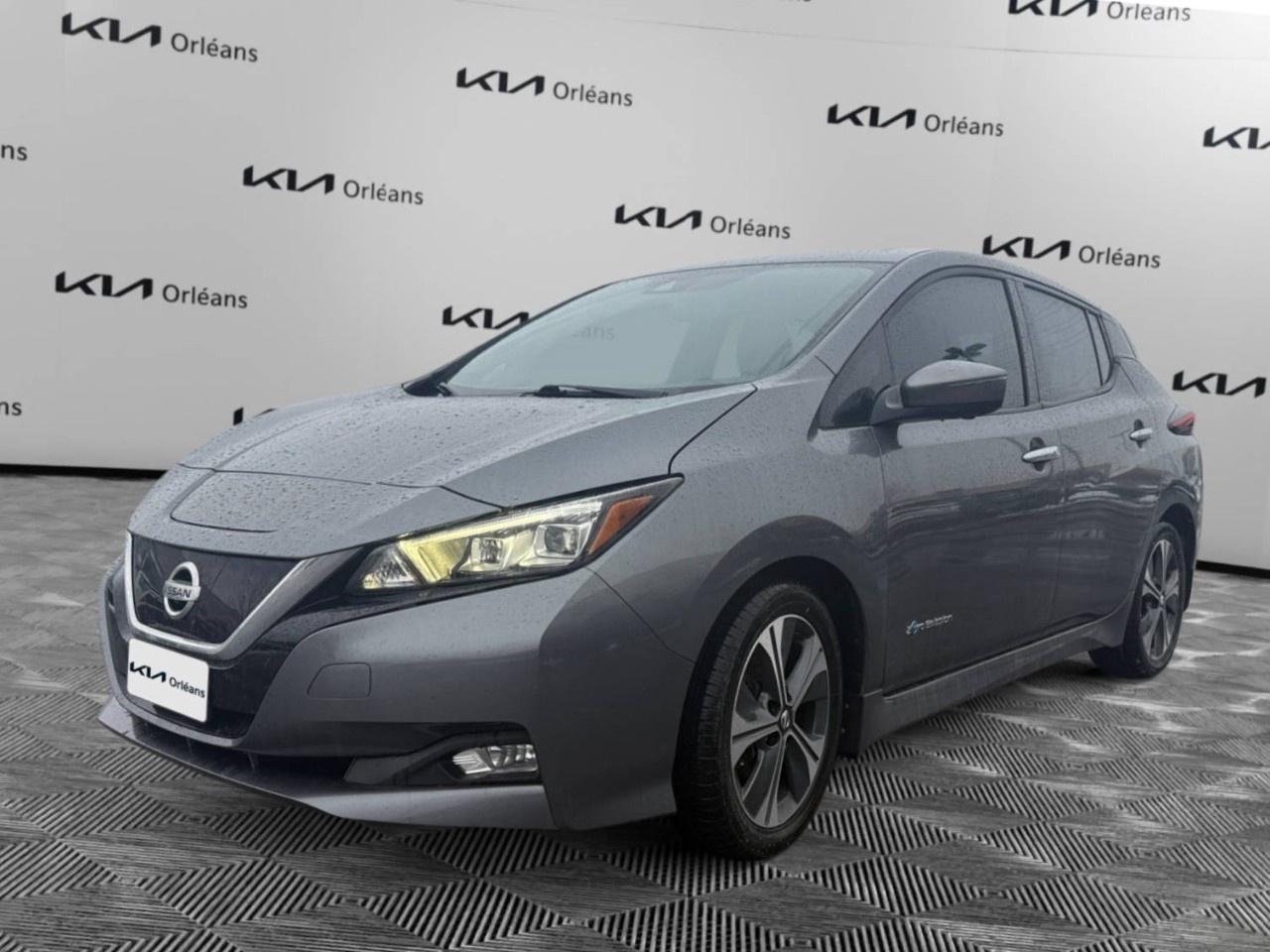 2018 Nissan Leaf SL Hatchback Photo0