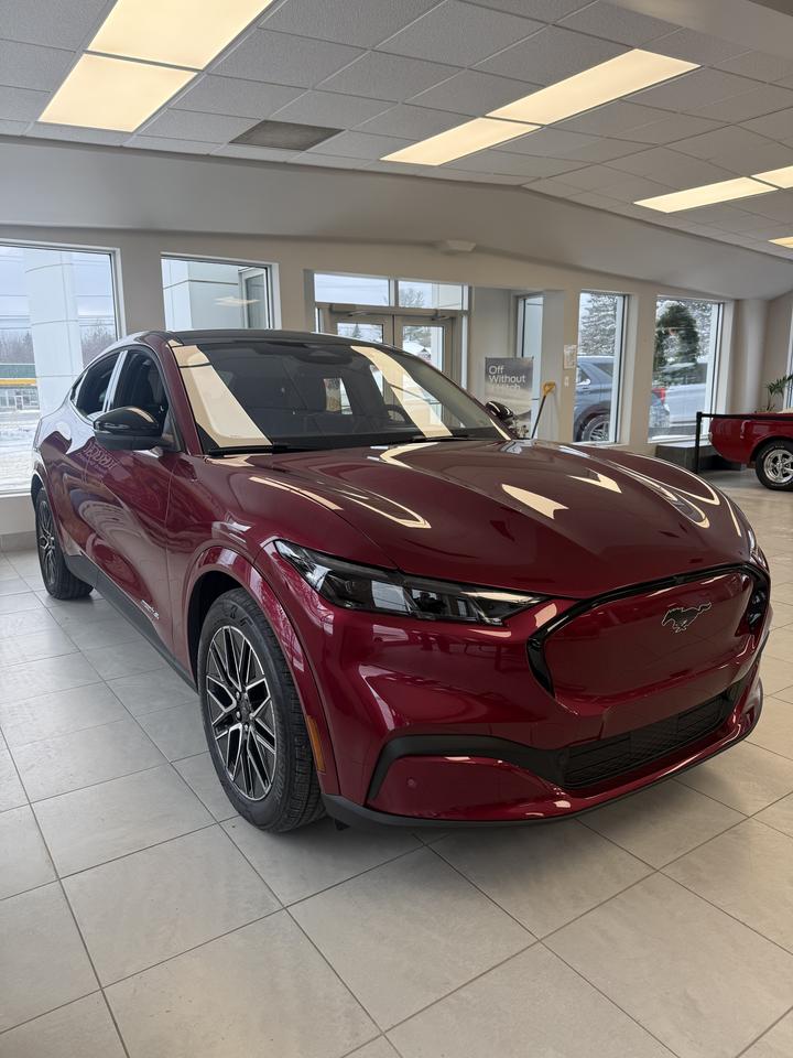 2025 Ford Mustang Mach-E Premium Photo1