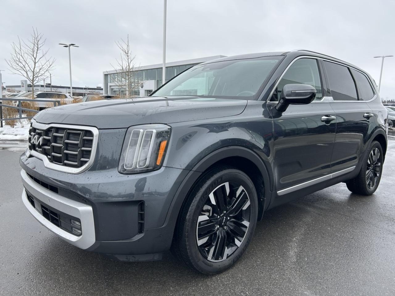 2024 Kia Telluride SX  - Leather Seats - Low Mileage Photo4