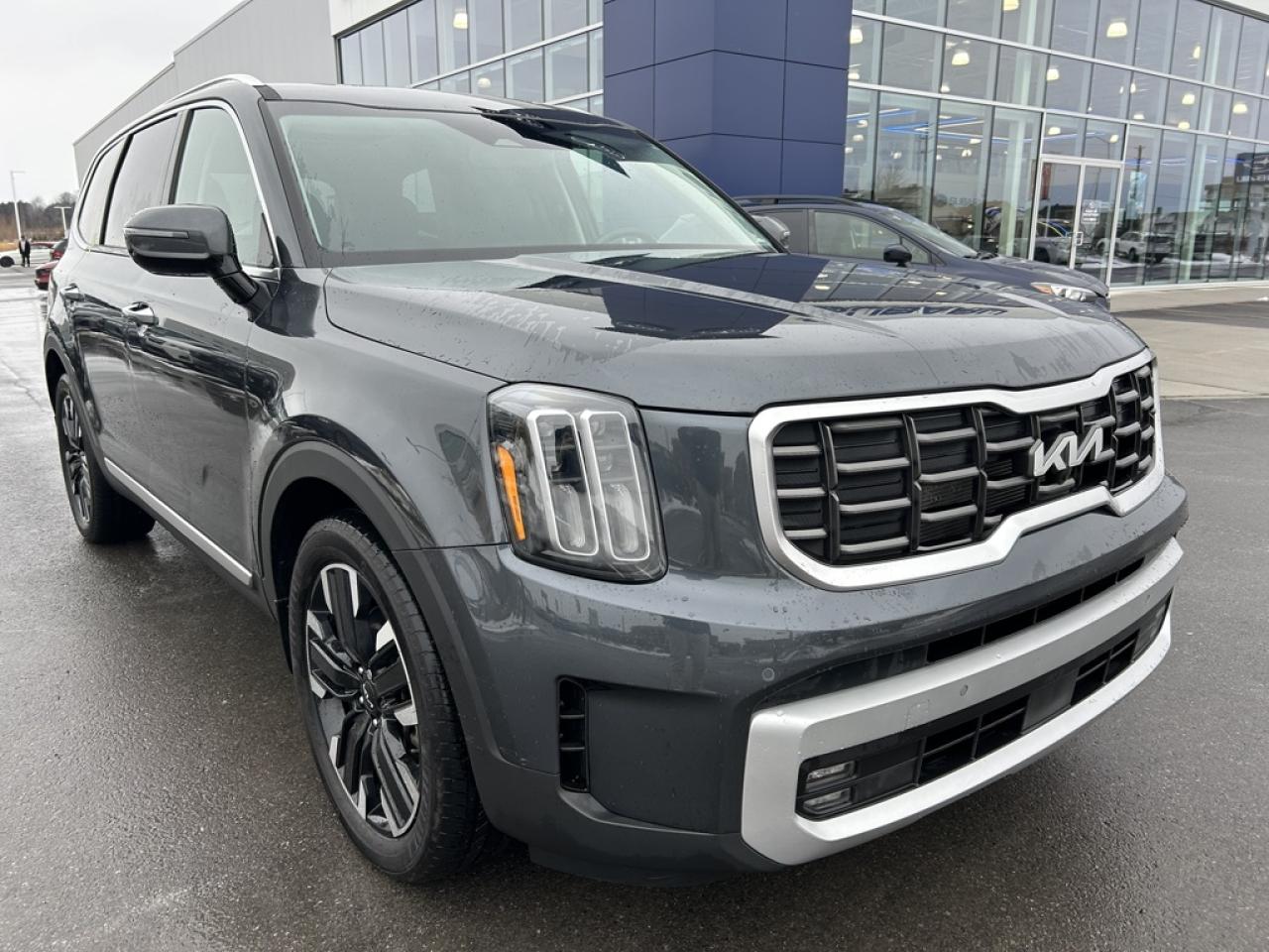 2024 Kia Telluride SX  - Leather Seats - Low Mileage Photo