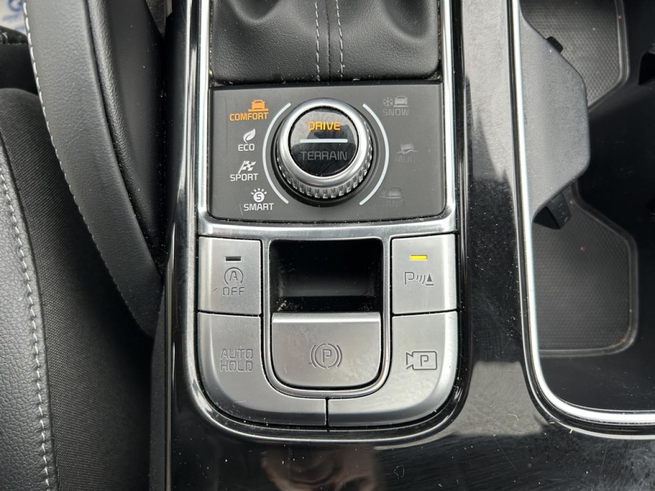 2024 Kia Telluride SX  - Leather Seats - Low Mileage Photo