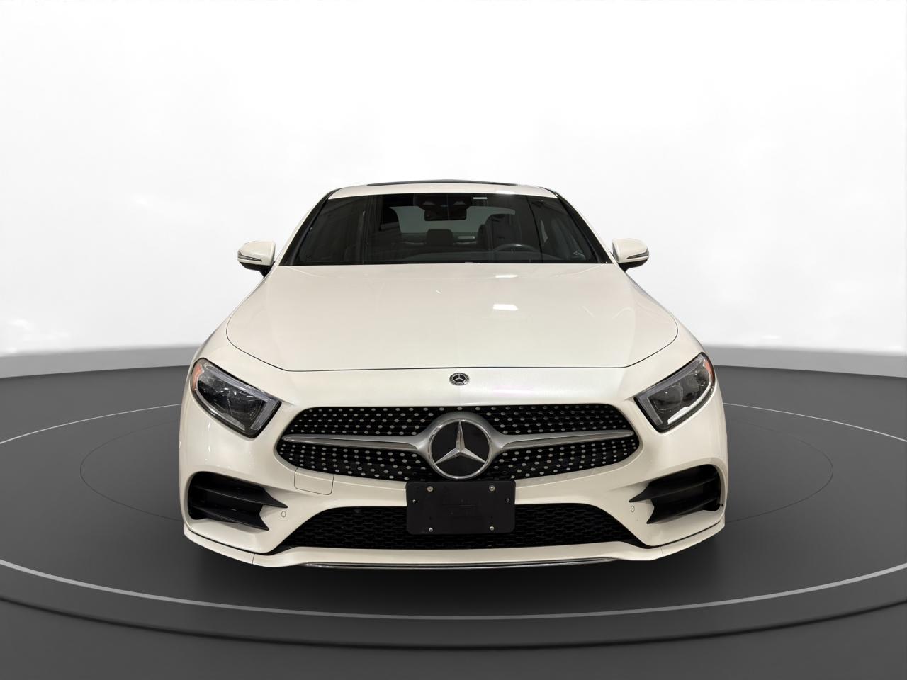2019 Mercedes-Benz CLS-Class CLS 450 4MATIC Coupe Photo