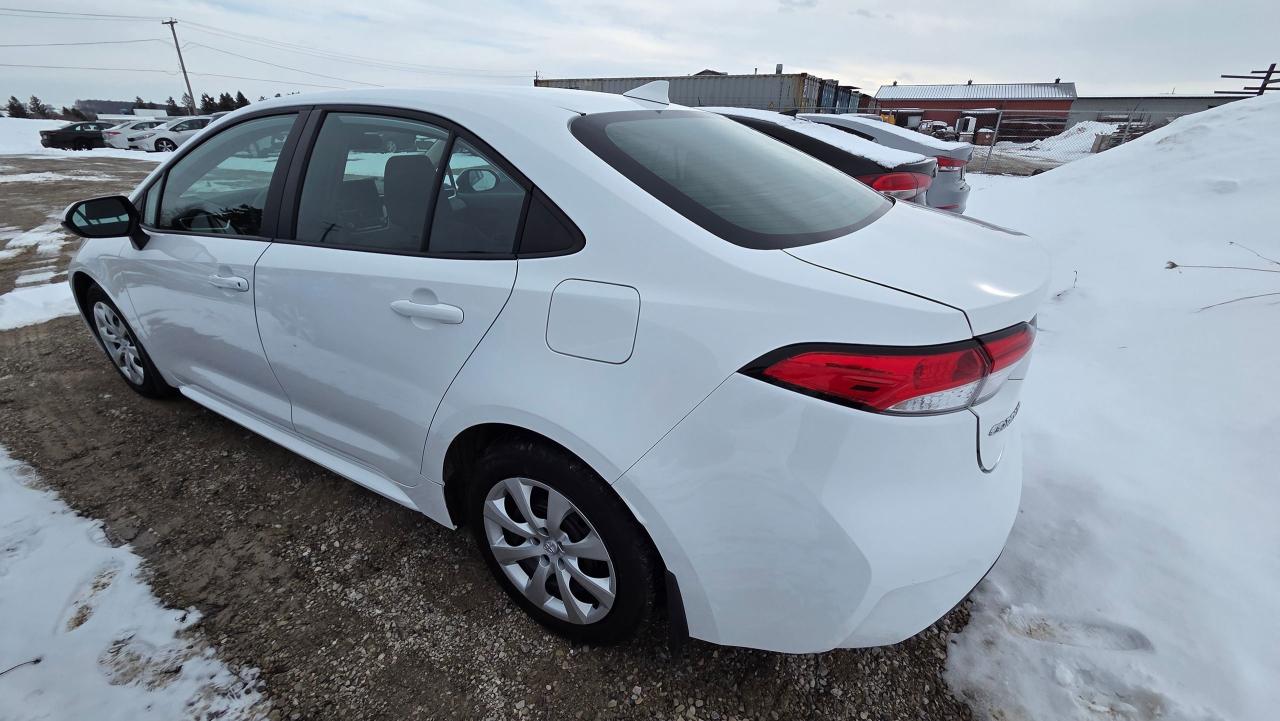 2024 Toyota Corolla LE Photo