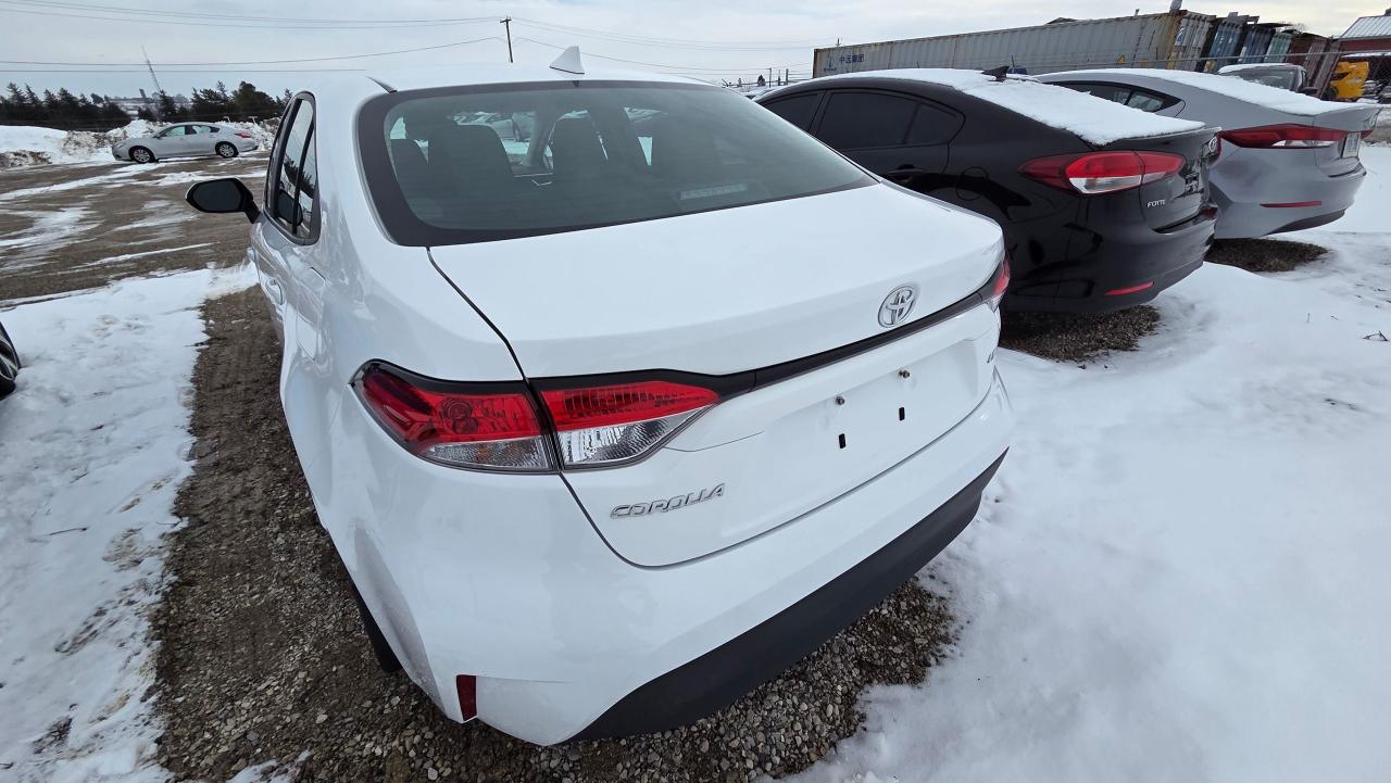 2024 Toyota Corolla LE Photo