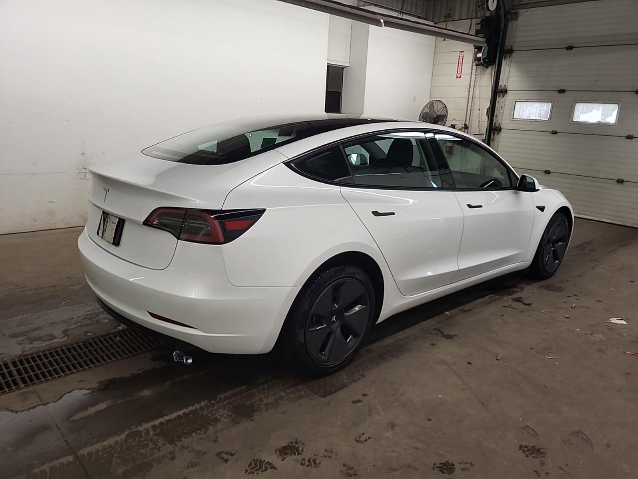 2023 Tesla Model 3  Photo