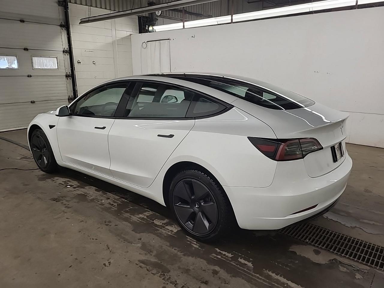 2023 Tesla Model 3  Photo
