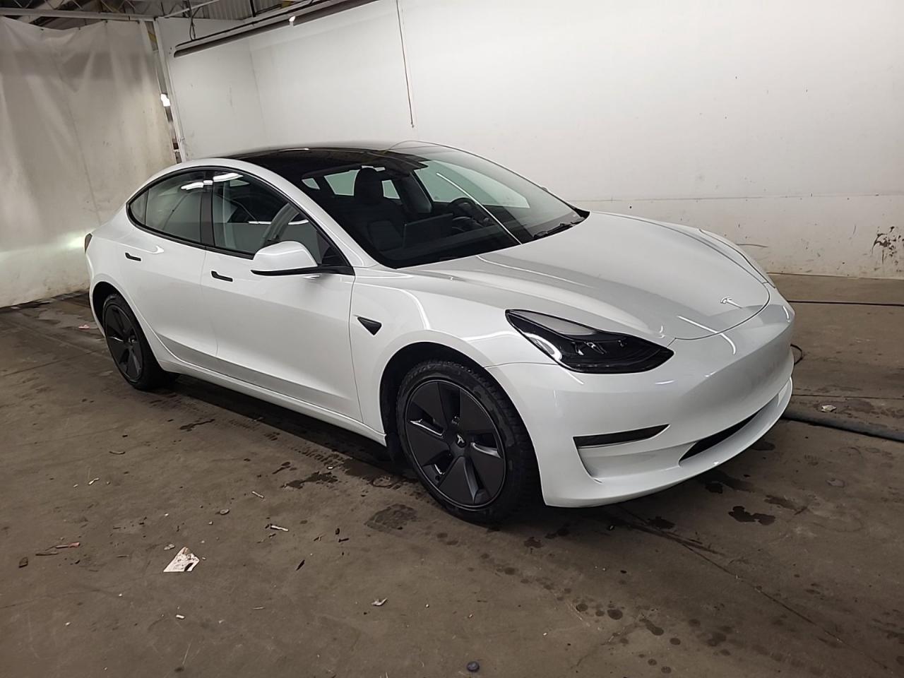 2023 Tesla Model 3  Photo