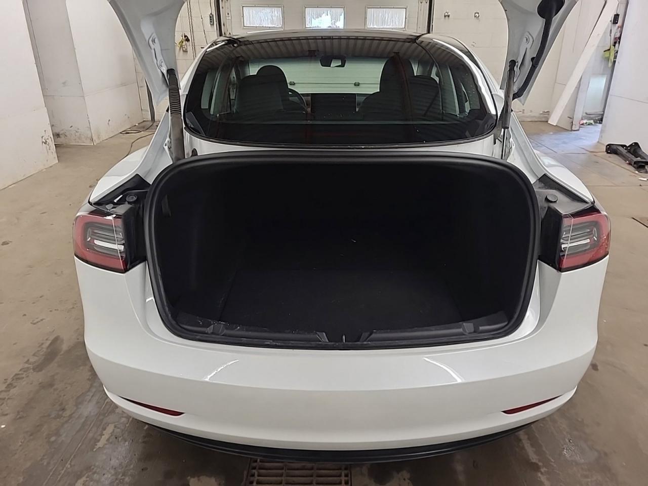 2023 Tesla Model 3  Photo