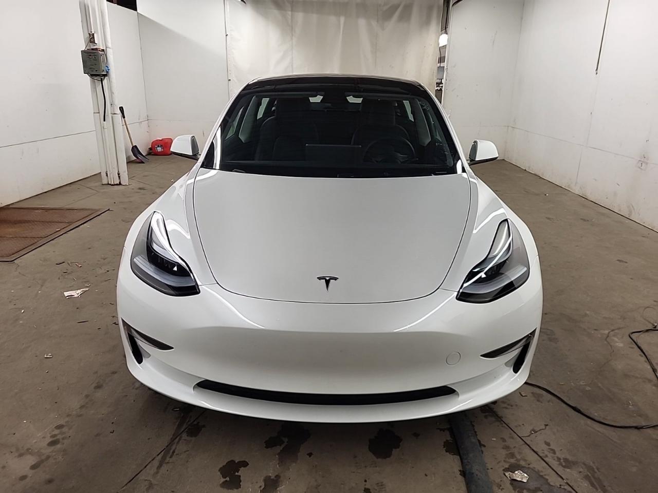 2023 Tesla Model 3  Photo