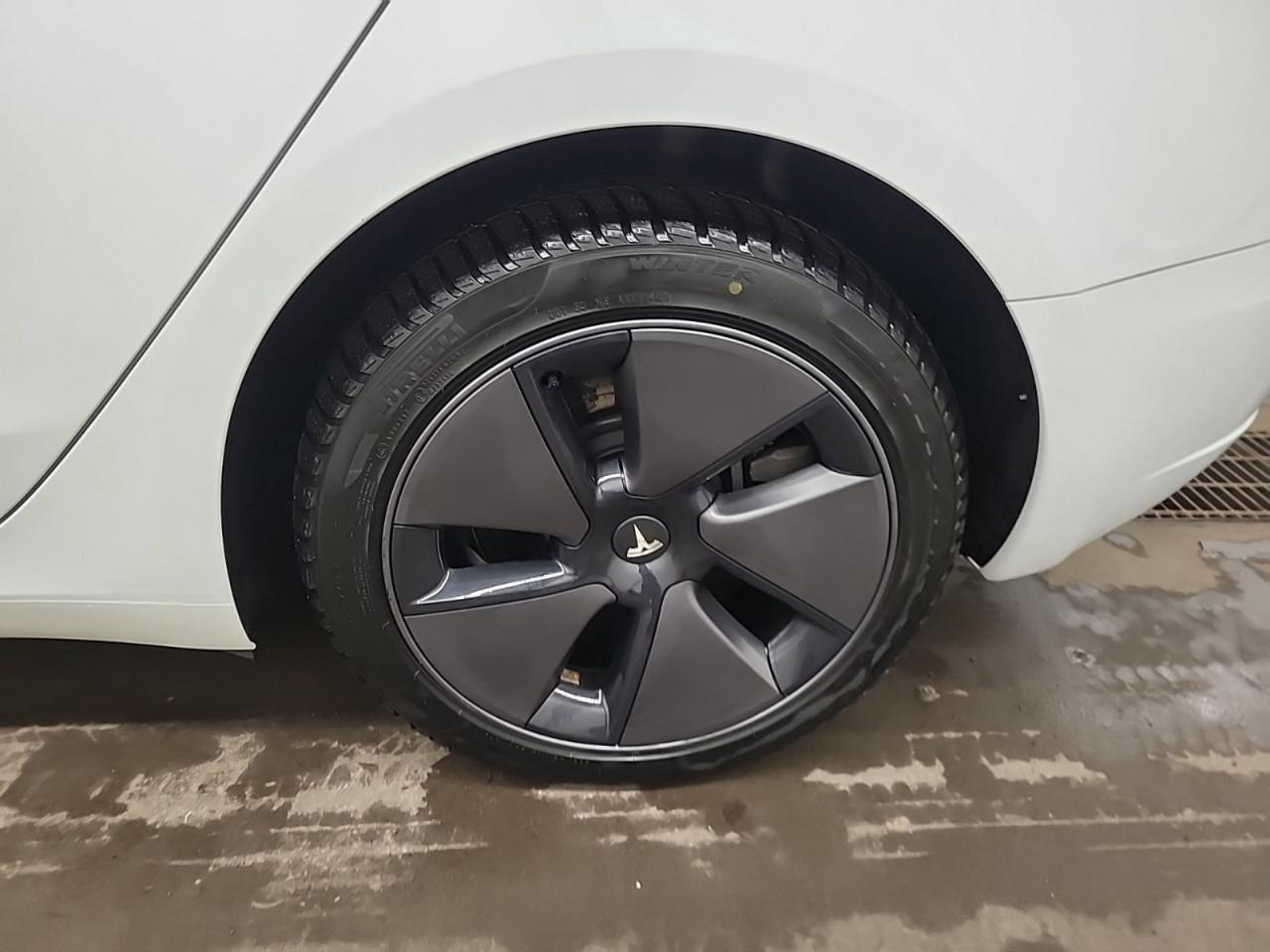 2023 Tesla Model 3  Photo