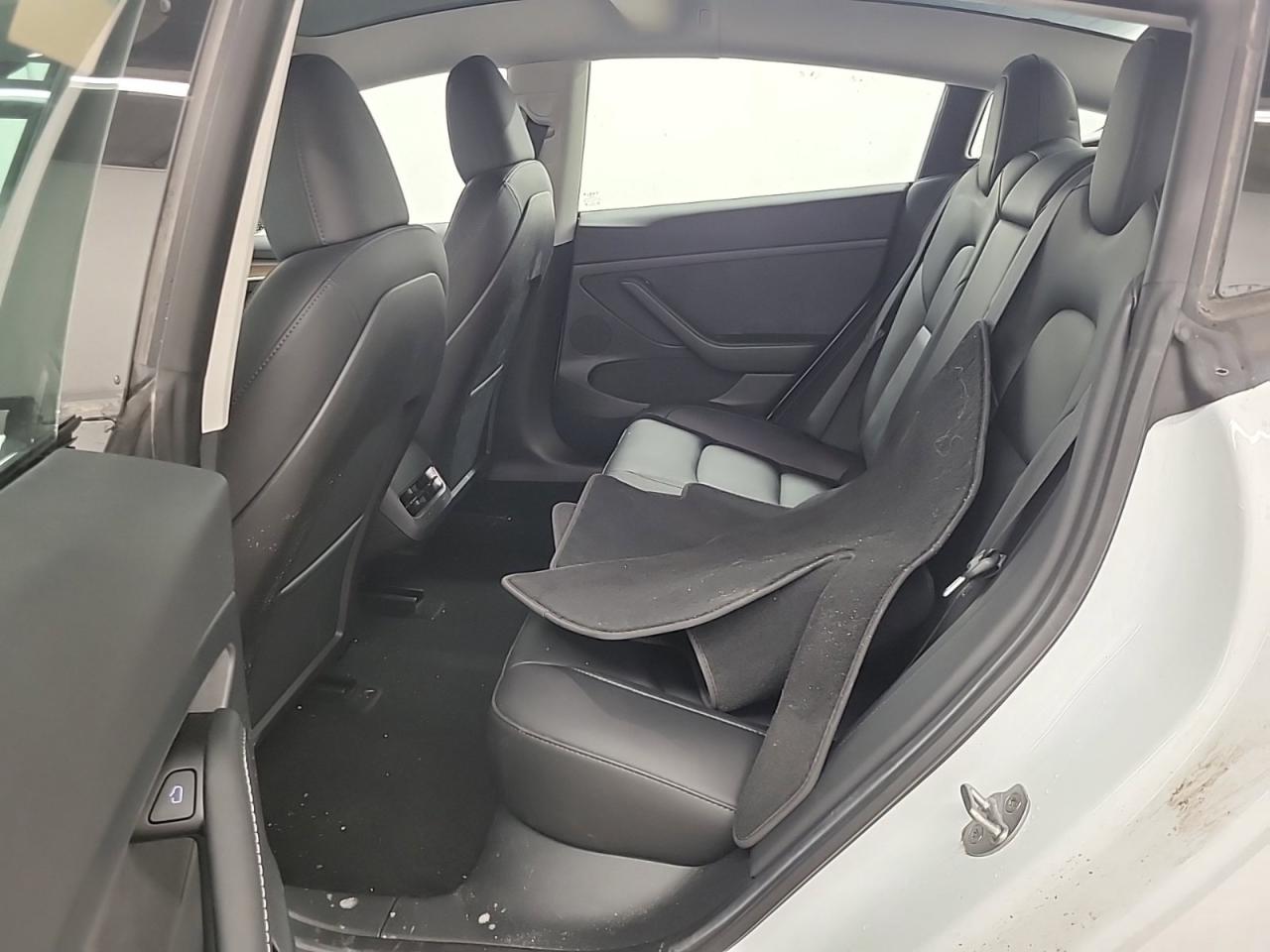 2023 Tesla Model 3  Photo