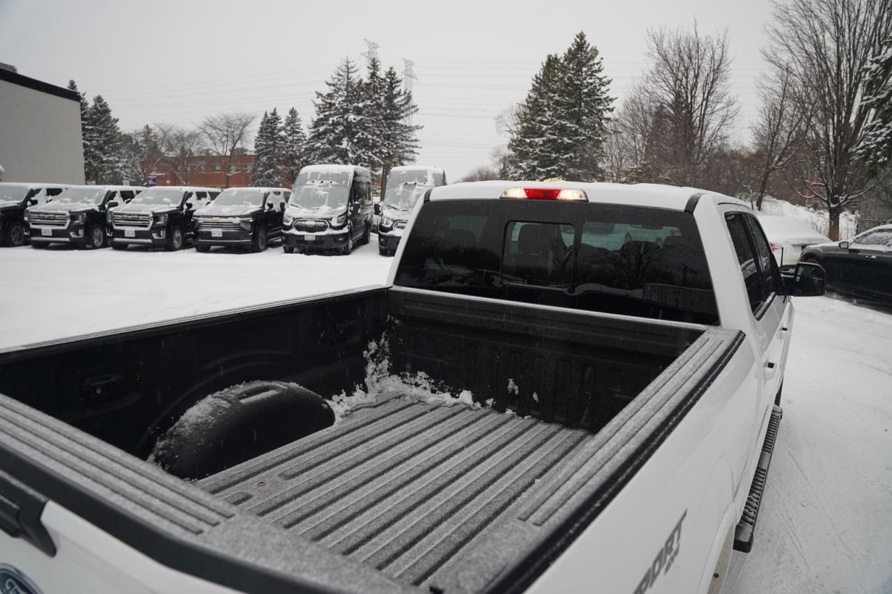 2020 Ford F-150 XL SuperCrew 6.5-ft. Bed 4WD Photo