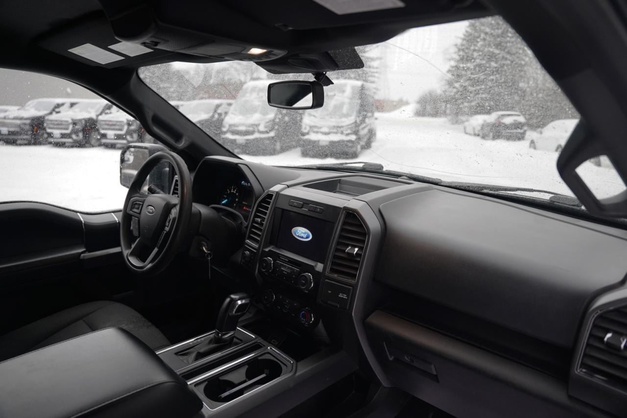 2020 Ford F-150 XL SuperCrew 6.5-ft. Bed 4WD Photo