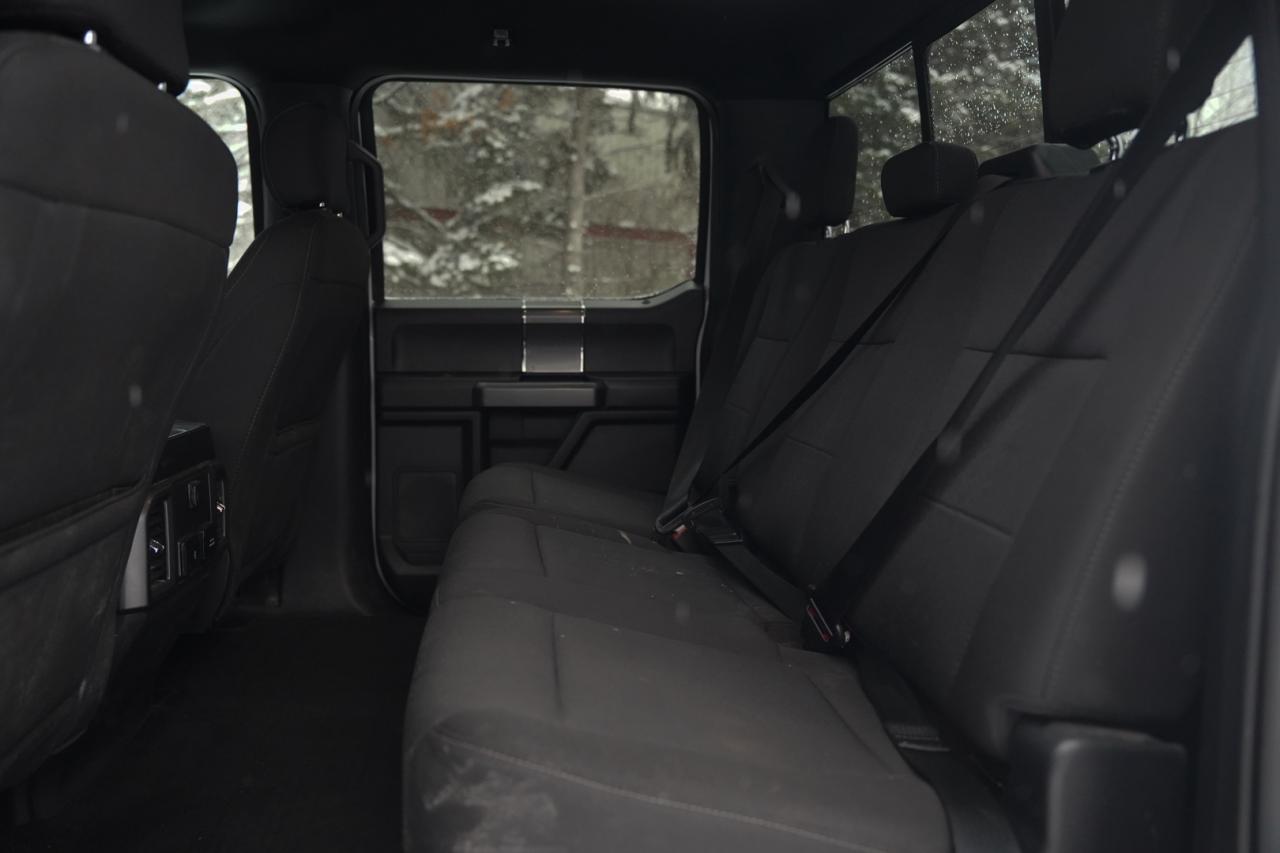 2020 Ford F-150 XL SuperCrew 6.5-ft. Bed 4WD Photo