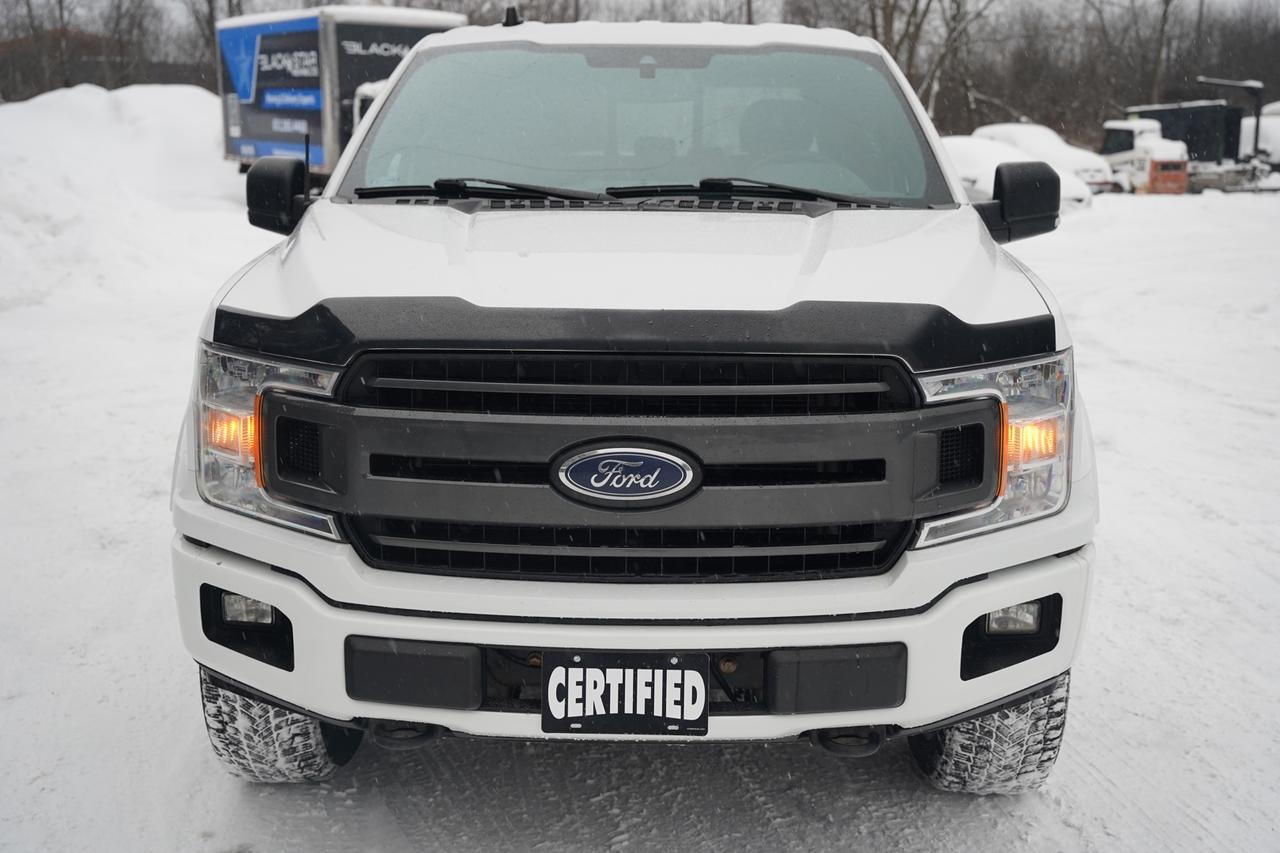 2020 Ford F-150 XL SuperCrew 6.5-ft. Bed 4WD Photo