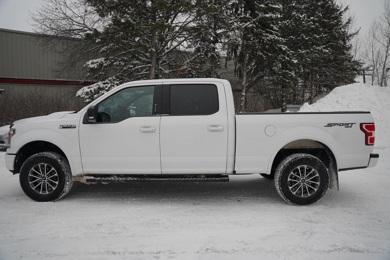 2020 Ford F-150 XL SuperCrew 6.5-ft. Bed 4WD Photo