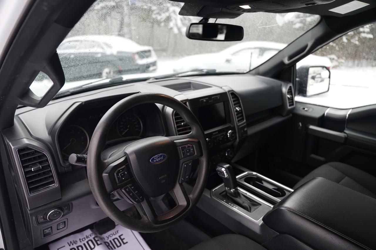 2020 Ford F-150 XL SuperCrew 6.5-ft. Bed 4WD Photo