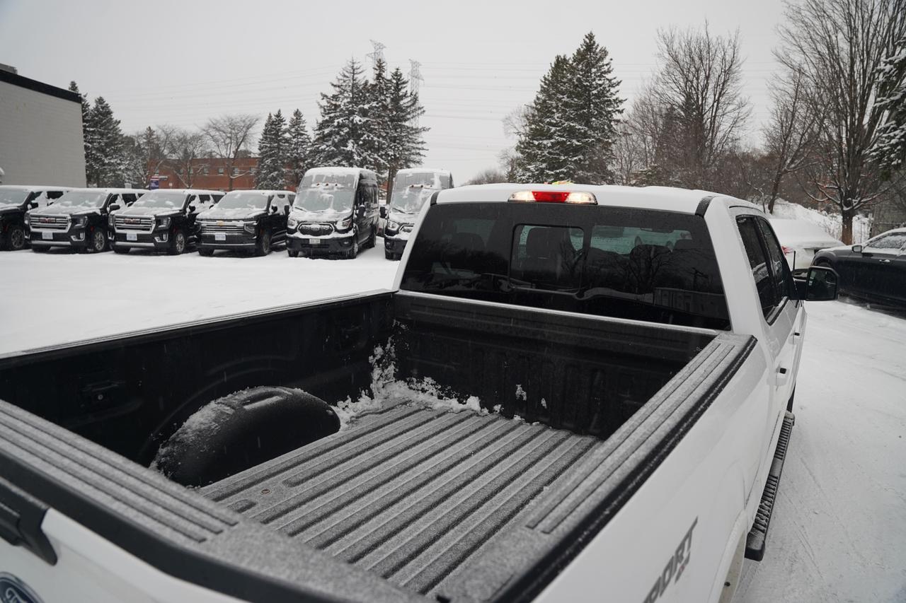 2020 Ford F-150 XL SuperCrew 6.5-ft. Bed 4WD Photo