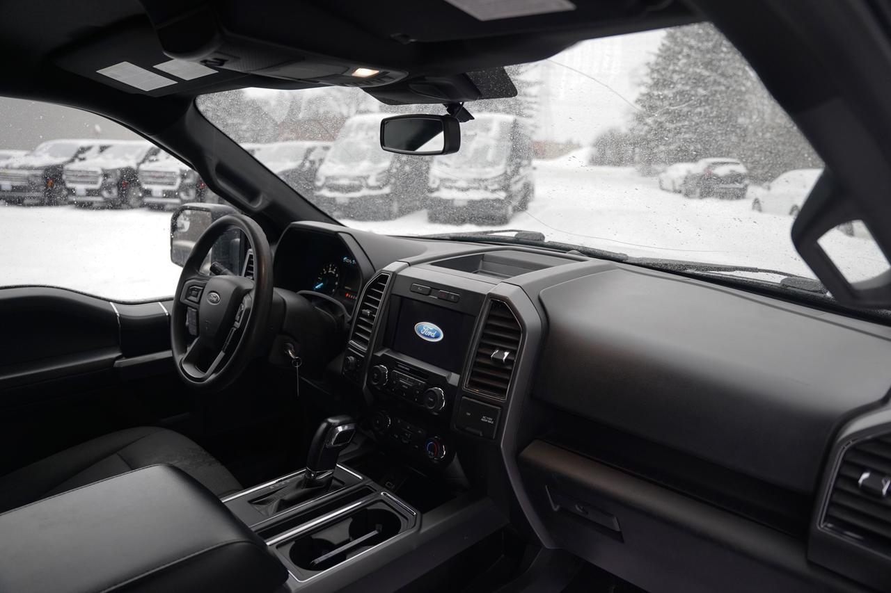 2020 Ford F-150 XL SuperCrew 6.5-ft. Bed 4WD Photo