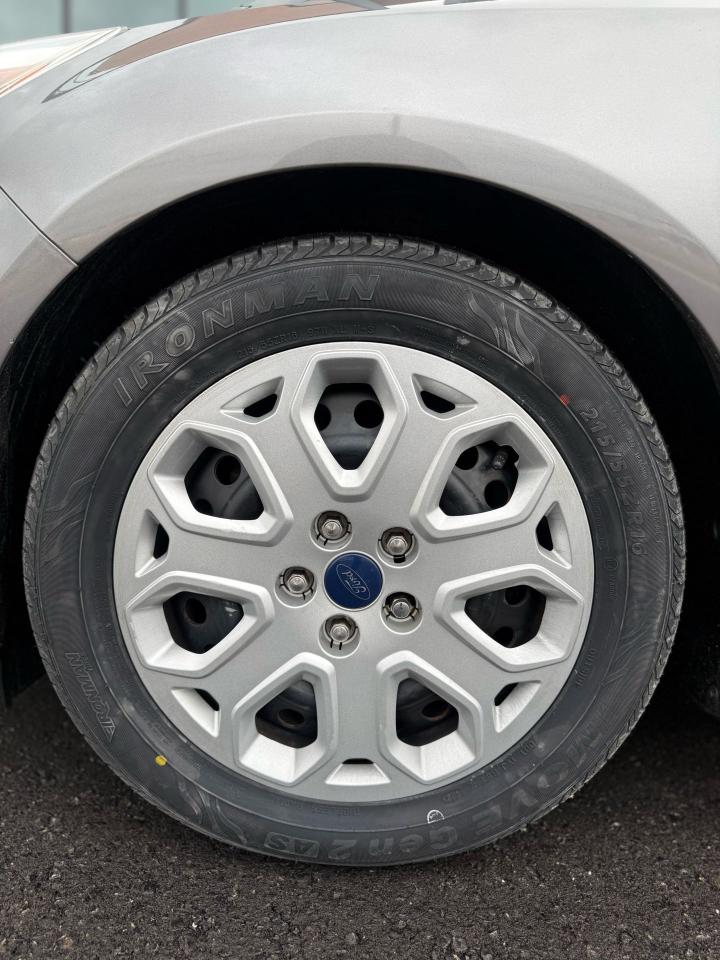 2014 Ford Focus SE Photo