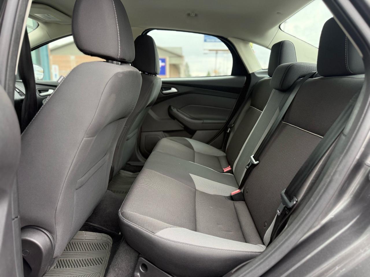 2014 Ford Focus SE Photo