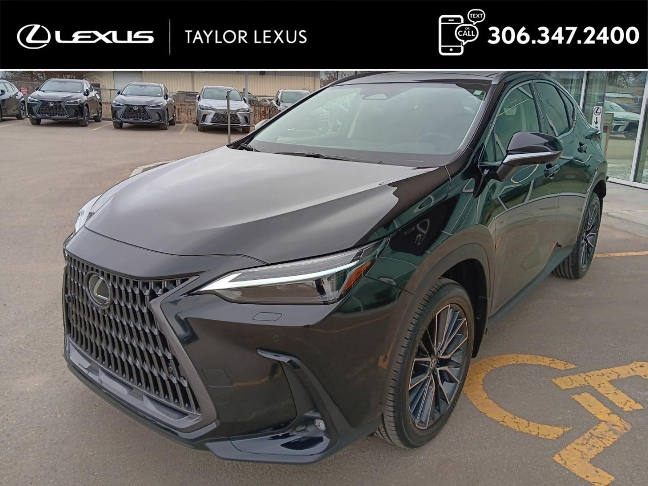 Lexus NX 350 Base