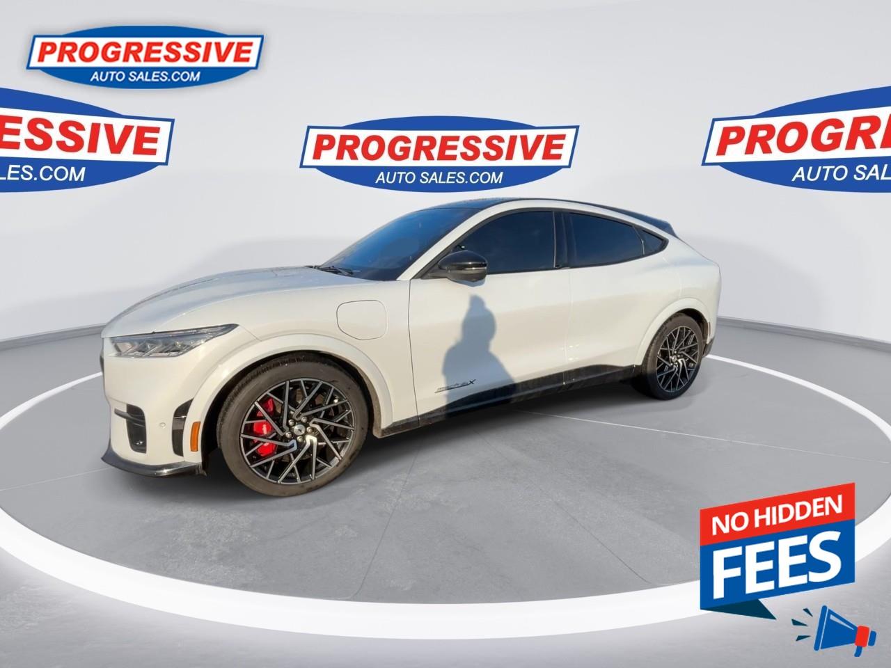 2022 Ford Mustang Mach-E GT Performance Edition Photo4