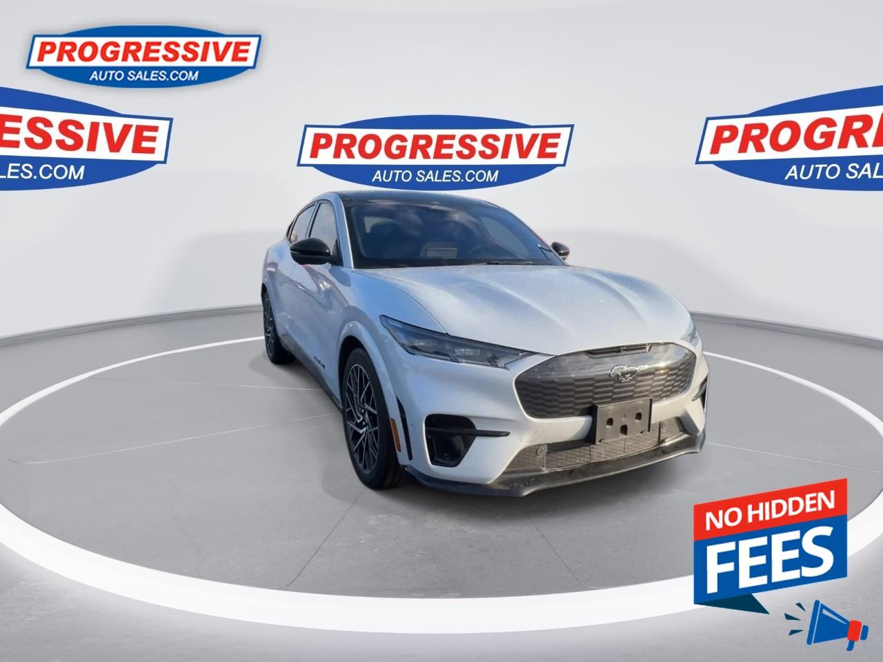 2022 Ford Mustang Mach-E GT Performance Edition Photo