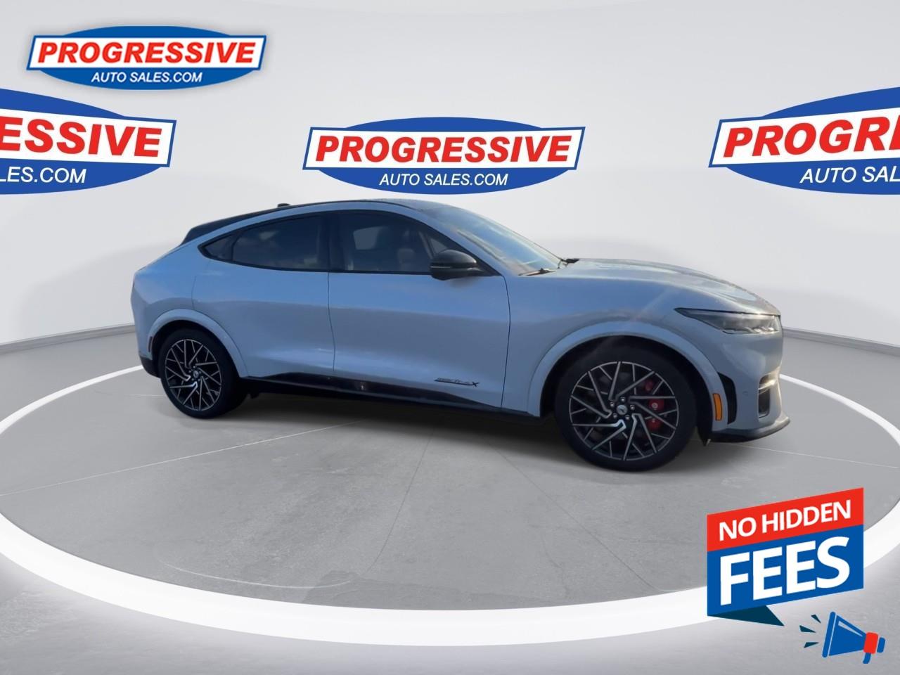 2022 Ford Mustang Mach-E GT Performance Edition Photo