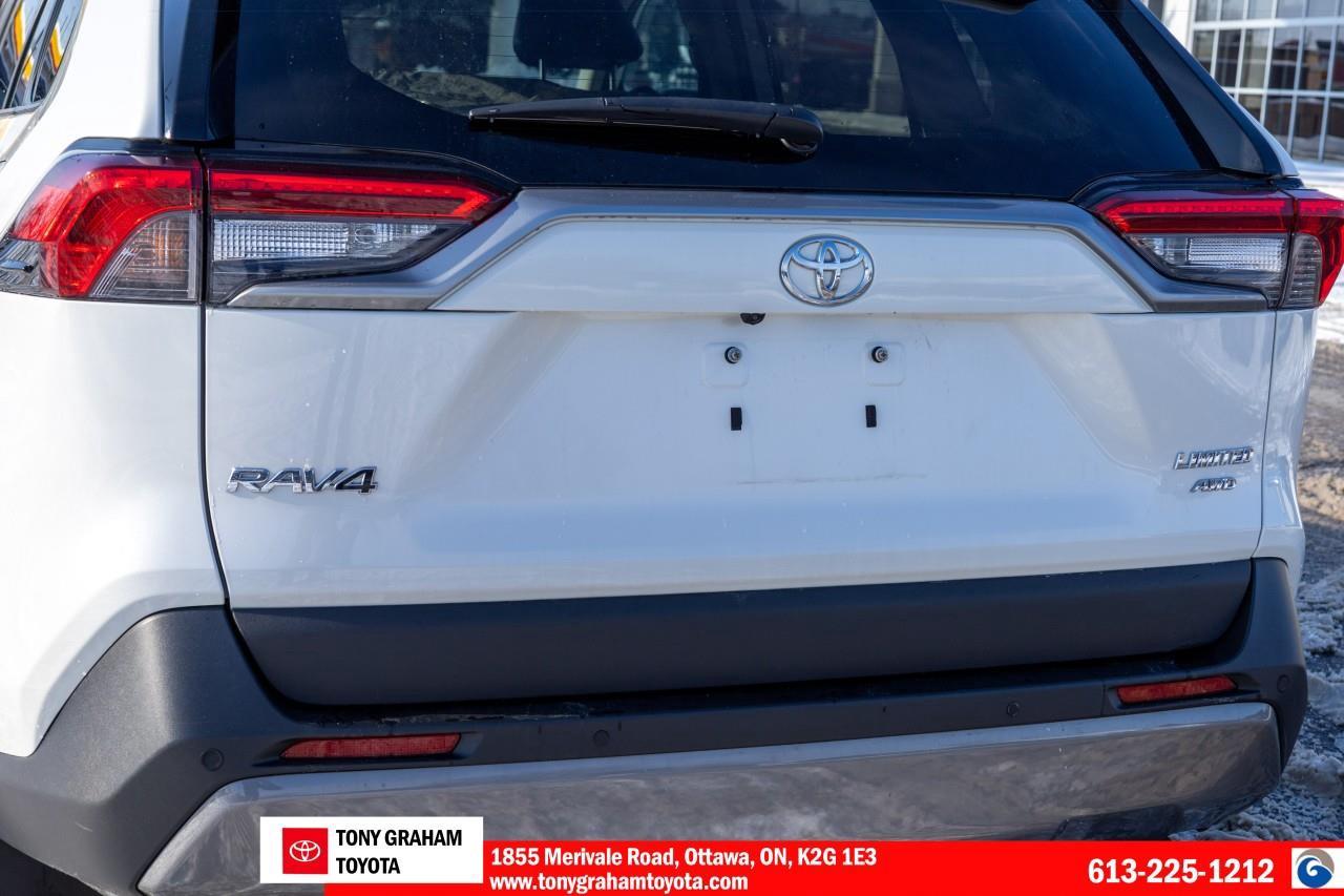 2020 Toyota RAV4 LIMITED  Photo
