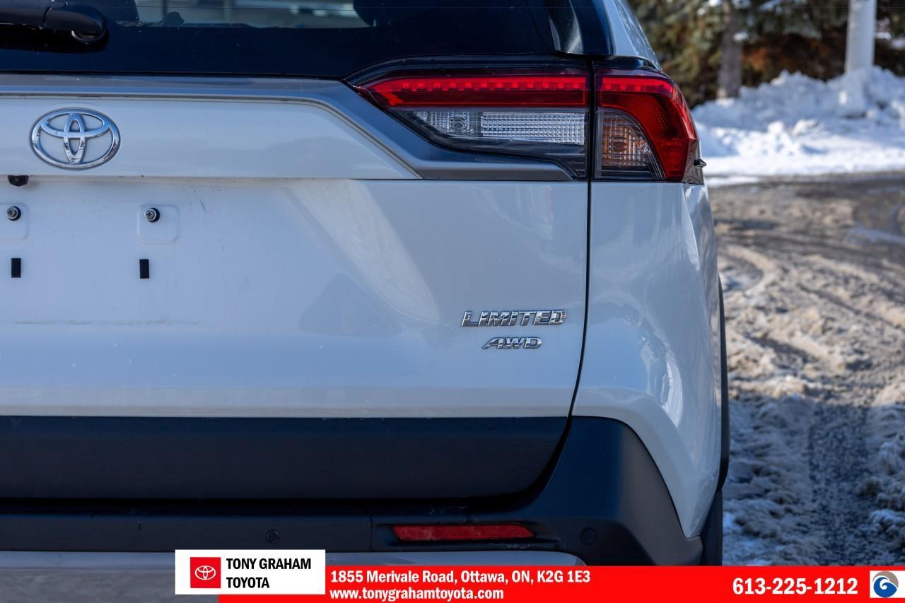 2020 Toyota RAV4 LIMITED  Photo