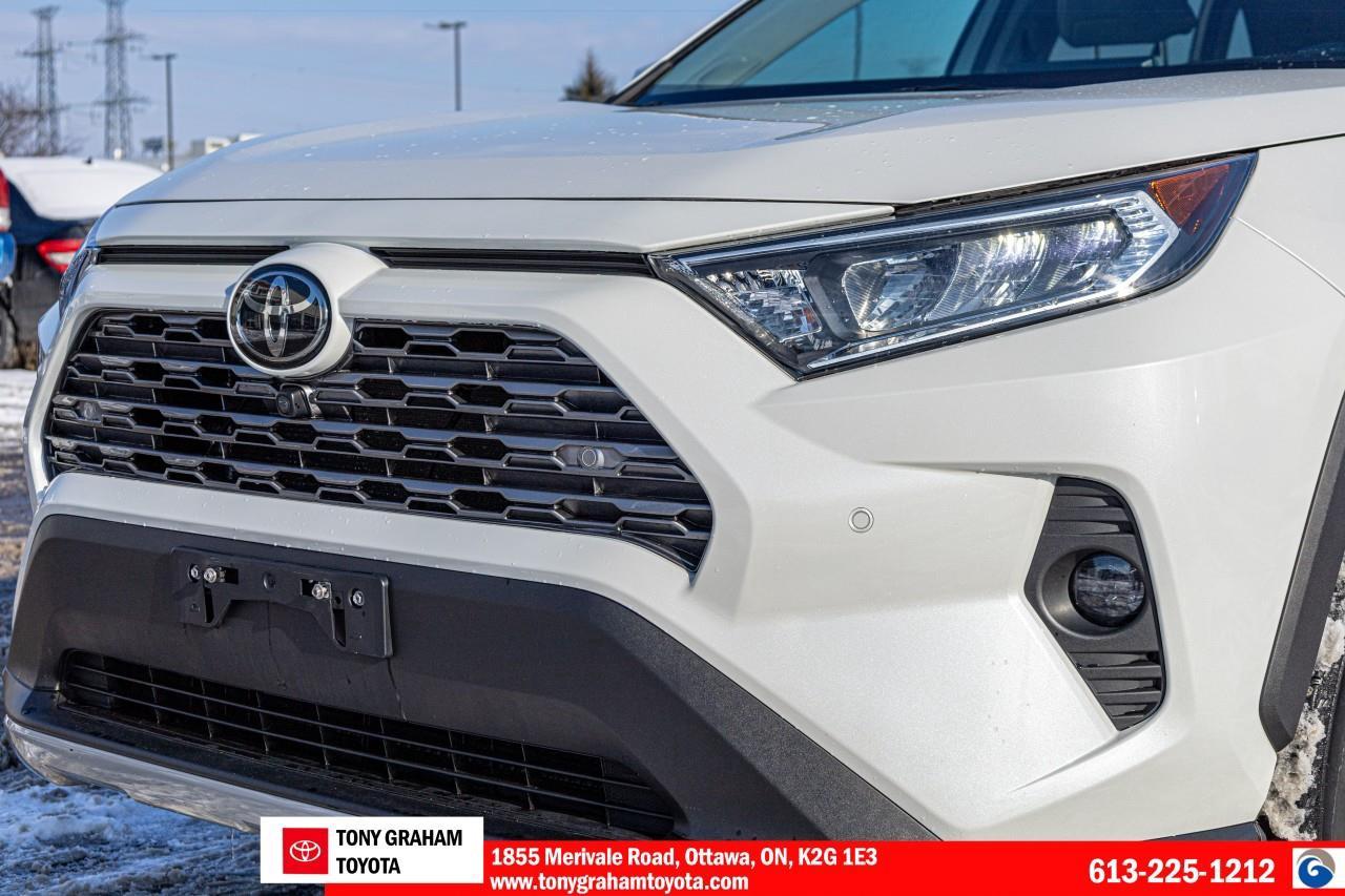 2020 Toyota RAV4 LIMITED  Photo