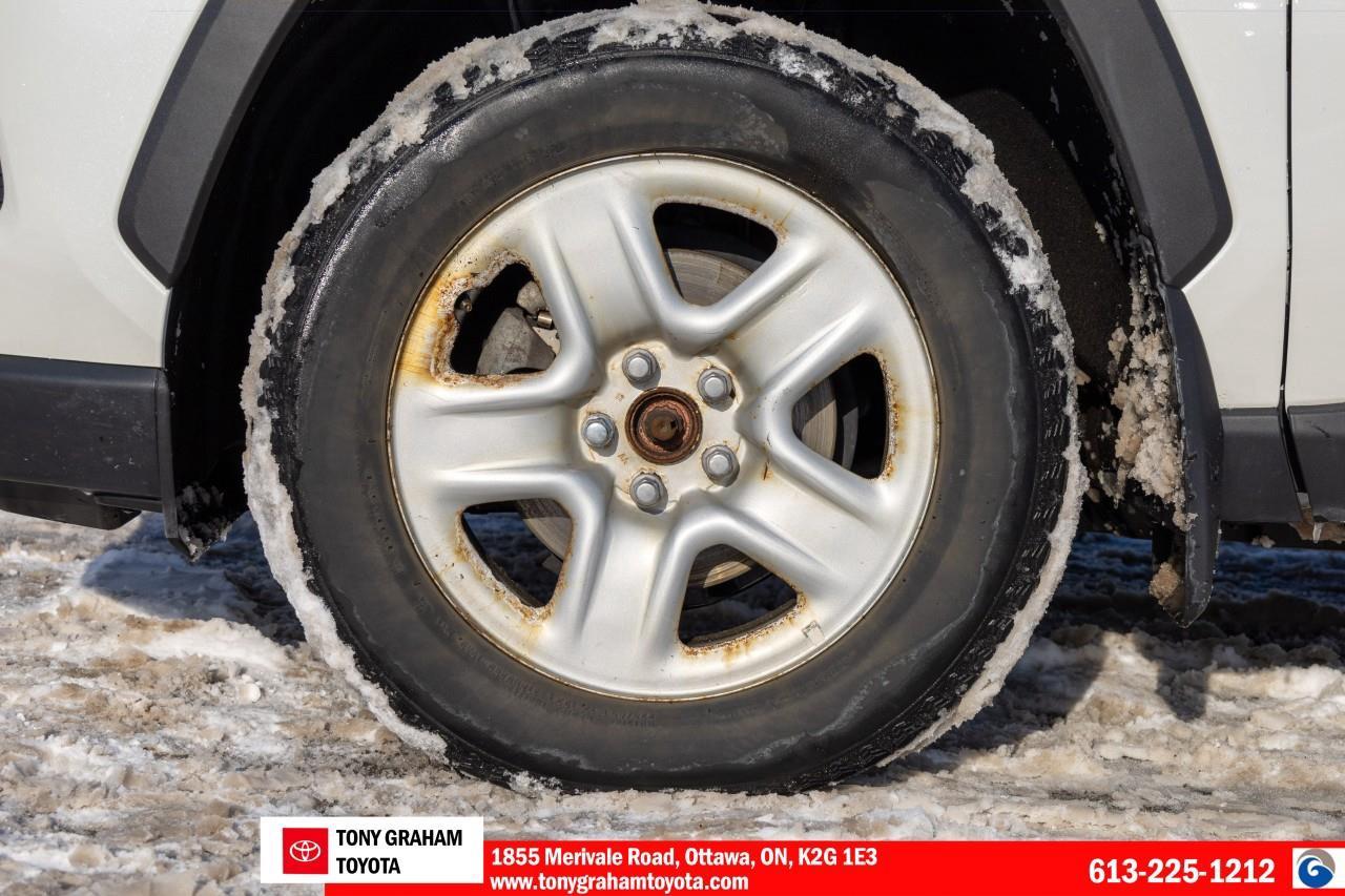 2020 Toyota RAV4 LIMITED  Photo