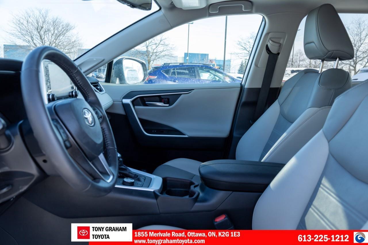2020 Toyota RAV4 LIMITED  Photo
