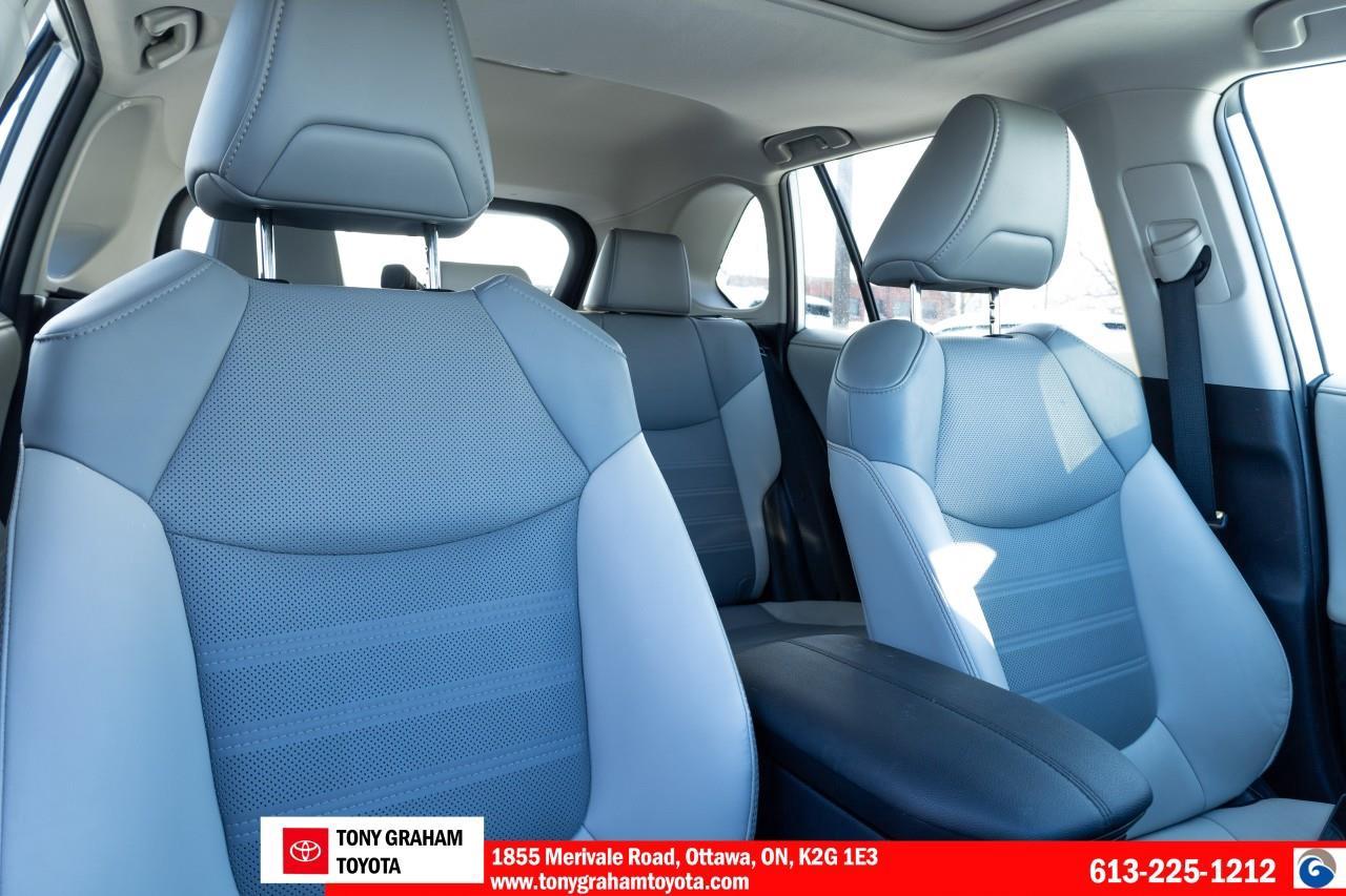 2020 Toyota RAV4 LIMITED  Photo