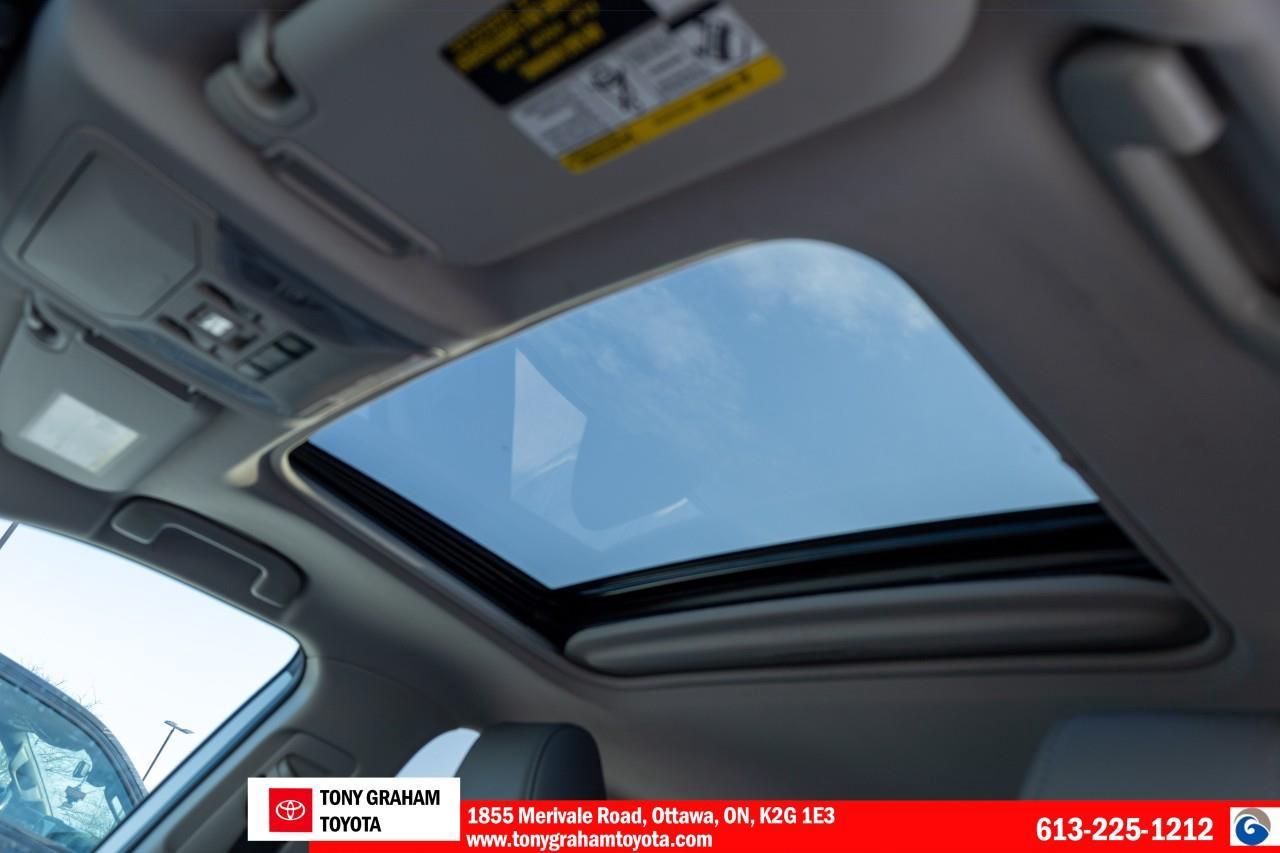 2020 Toyota RAV4 LIMITED  Photo